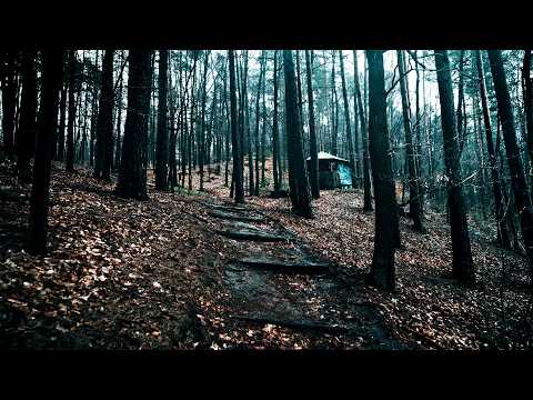 Relaxing Rain Walk | Binaural Rain & Nature